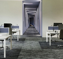 Contour Коллекция View View 959 фото 3 | FLOORDEALER